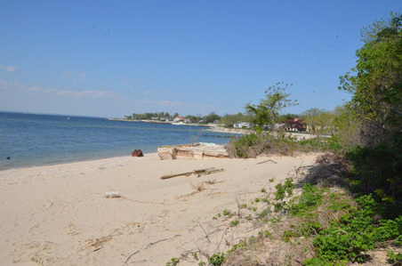 Enlarge photo 83