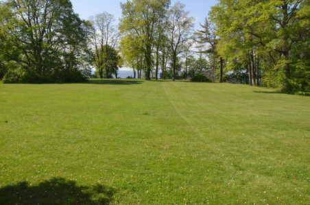 Enlarge photo 86