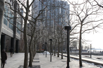 Enlarge photo 57