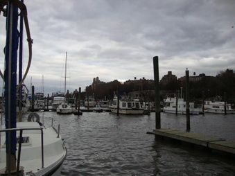 Enlarge photo 33