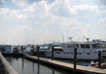 Enlarge photo 39