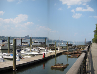 Enlarge photo 38