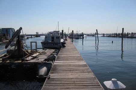 Enlarge photo 15