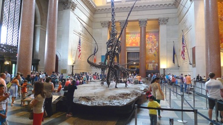 Enlarge photo 24