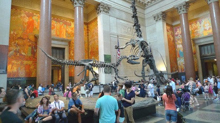 Enlarge photo 30