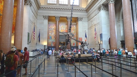 Enlarge photo 34