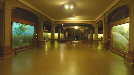 Enlarge photo 36