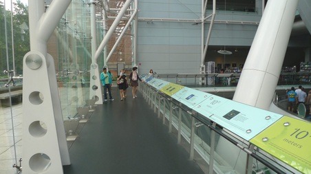 Enlarge photo 51