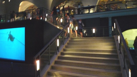 Enlarge photo 114
