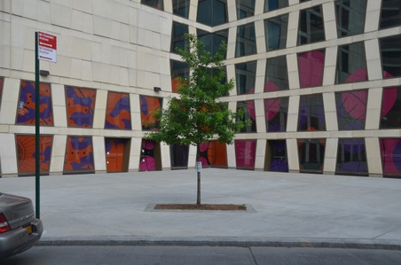 Museum For African Art - Harlem
