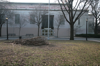 Enlarge photo 83