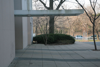 Enlarge photo 78