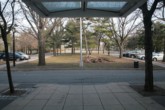 Enlarge photo 74