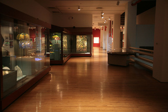 Enlarge photo 20