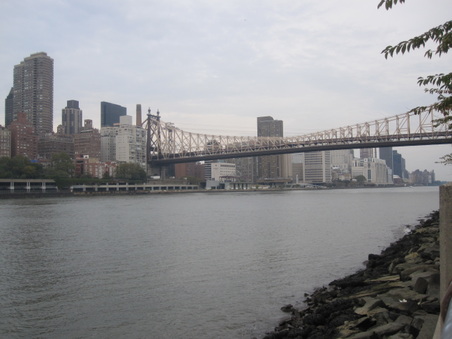 Enlarge photo 75
