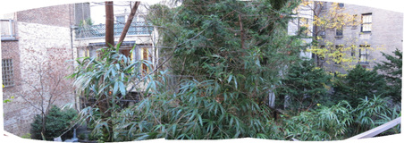 Enlarge photo 20