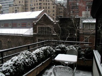 Enlarge photo 15