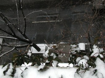 Enlarge photo 17