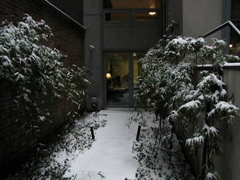 Enlarge photo 35