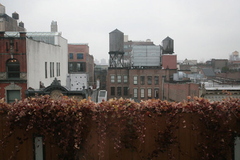 Enlarge photo 33