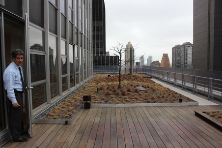 Enlarge photo 24