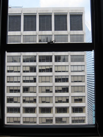 Enlarge photo 61