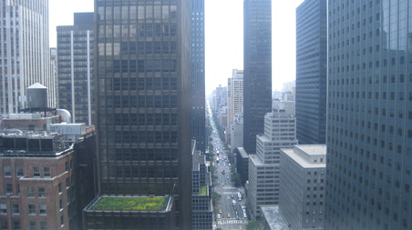 Enlarge photo 42