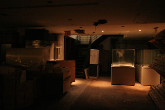 Enlarge photo 16