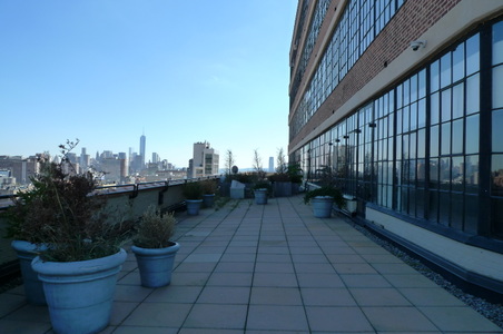 Enlarge photo 41