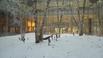 Enlarge photo 53