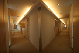 Enlarge photo 83