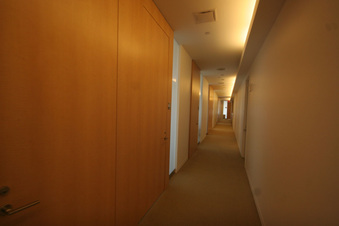 Enlarge photo 91