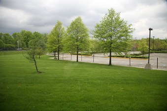 Enlarge photo 36