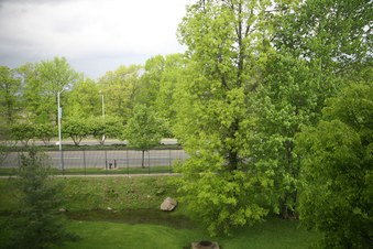 Enlarge photo 54