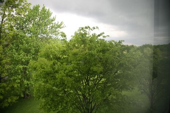 Enlarge photo 56