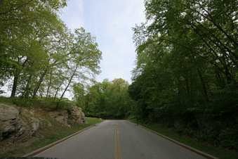 Enlarge photo 43