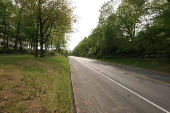 Enlarge photo 44