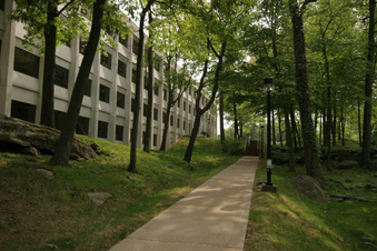 Enlarge photo 47