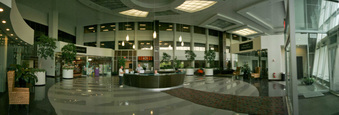 Enlarge photo 54