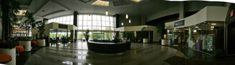 Enlarge photo 55
