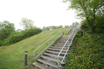 Enlarge photo 24