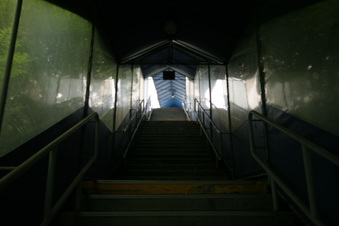 Enlarge photo 30