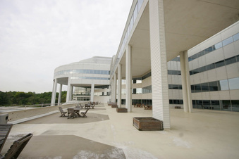Enlarge photo 47