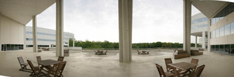 Enlarge photo 50