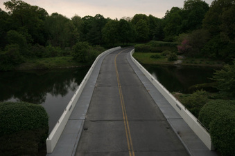 Enlarge photo 55