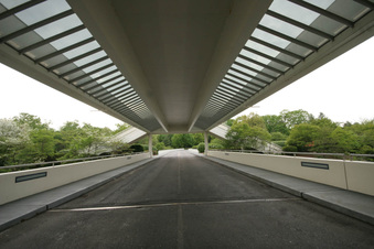 Enlarge photo 60