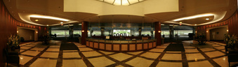 Enlarge photo 81