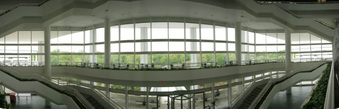 Enlarge photo 96