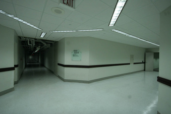 Enlarge photo 185