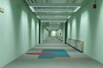 Enlarge photo 193